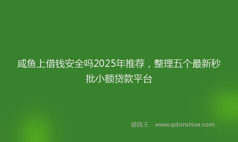 咸鱼上借钱安全吗2025年推荐，整理五个最新秒批小额贷款平台