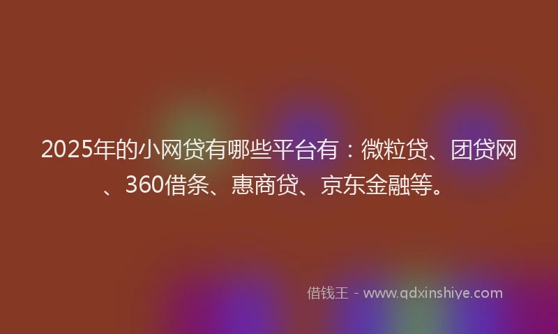 2025年的小网贷有哪些平台有：微粒贷、团贷网、360借条、惠商贷、京东金融等。