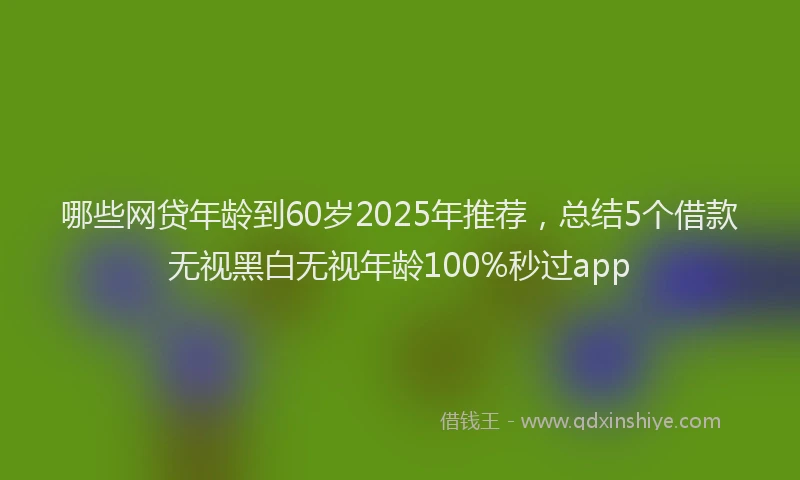 哪些网贷年龄到60岁2025年推荐，总结5个借款无视黑白无视年龄100%秒过app