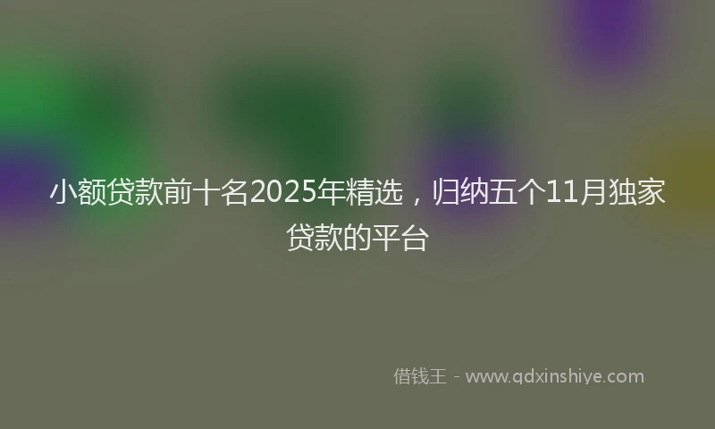 小额贷款前十名2025年精选，归纳五个11月独家贷款的平台