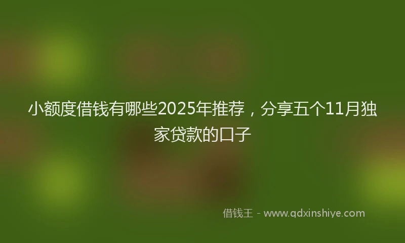小额度借钱有哪些2025年推荐，分享五个11月独家贷款的口子