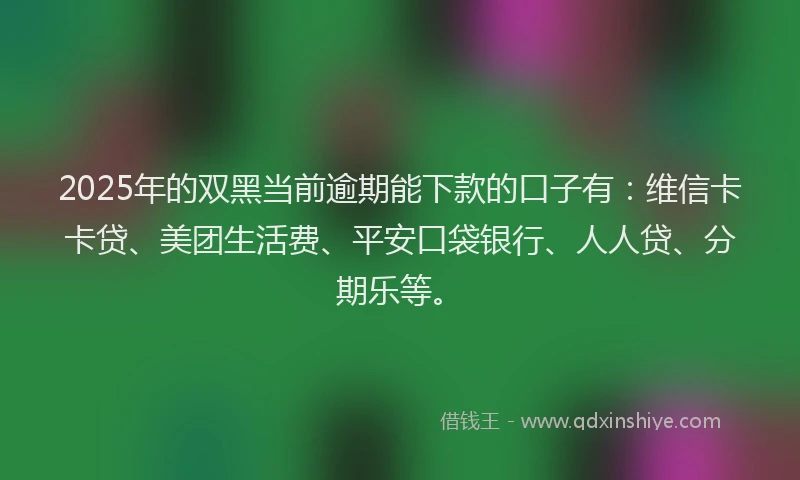 2025年的双黑当前逾期能下款的口子有：维信卡卡贷、美团生活费、平安口袋银行、人人贷、分期乐等。