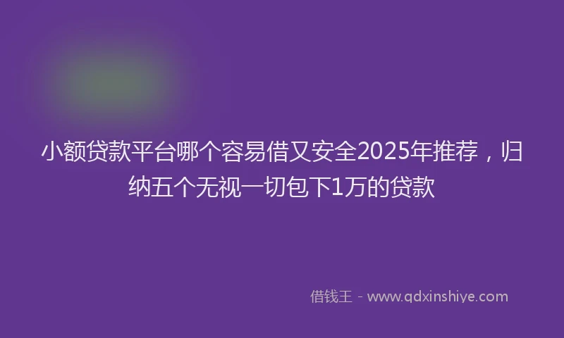小额贷款平台哪个容易借又安全2025年推荐，归纳五个无视一切包下1万的贷款