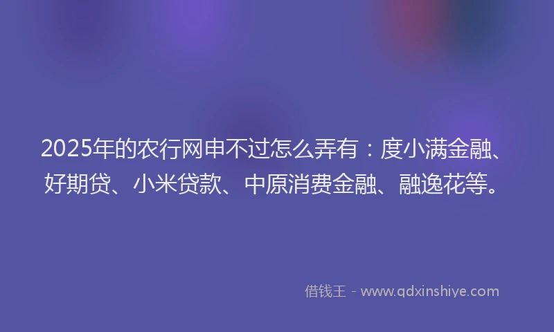 2025年的农行网申不过怎么弄有：度小满金融、好期贷、小米贷款、中原消费金融、融逸花等。