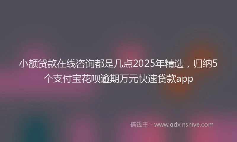 小额贷款在线咨询都是几点2025年精选，归纳5个支付宝花呗逾期万元快速贷款app