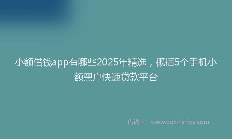 小额借钱app有哪些2025年精选，概括5个手机小额黑户快速贷款平台
