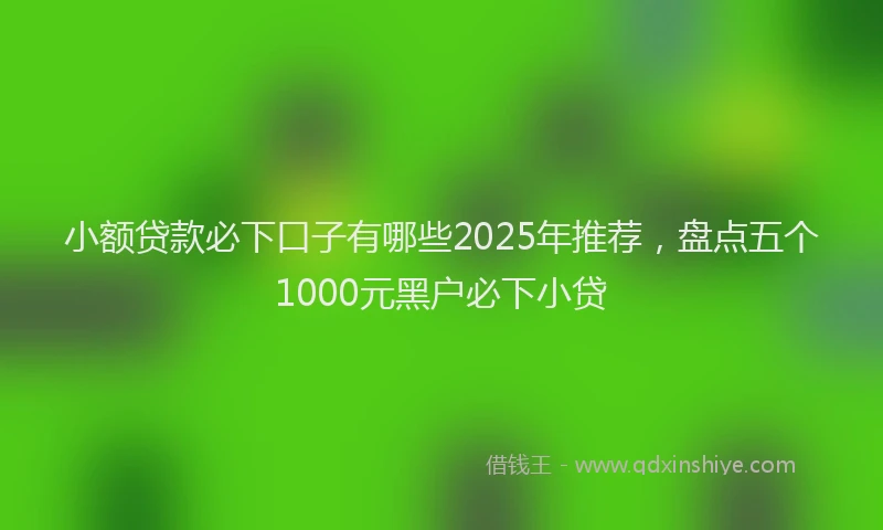 小额贷款必下口子有哪些2025年推荐，盘点五个1000元黑户必下小贷