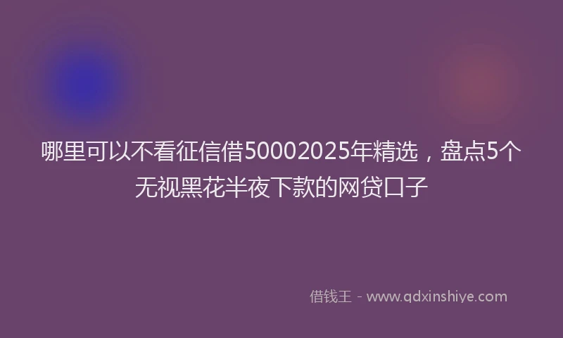 哪里可以不看征信借50002025年精选，盘点5个无视黑花半夜下款的网贷口子