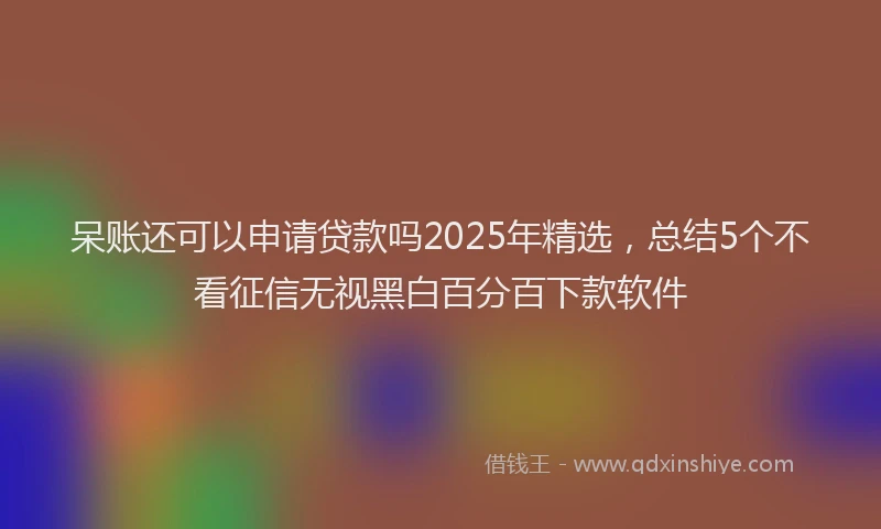 呆账还可以申请贷款吗2025年精选，总结5个不看征信无视黑白百分百下款软件