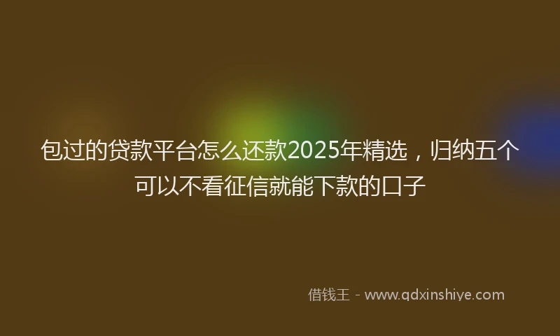 包过的贷款平台怎么还款2025年精选，归纳五个可以不看征信就能下款的口子