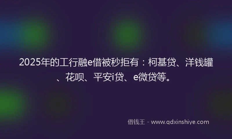 2025年的工行融e借被秒拒有：柯基贷、洋钱罐、花呗、平安i贷、e微贷等。