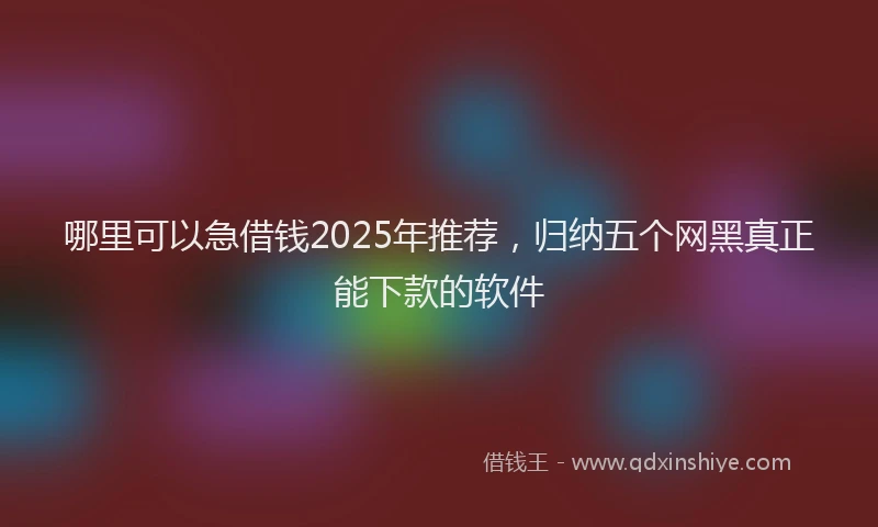 哪里可以急借钱2025年推荐，归纳五个网黑真正能下款的软件