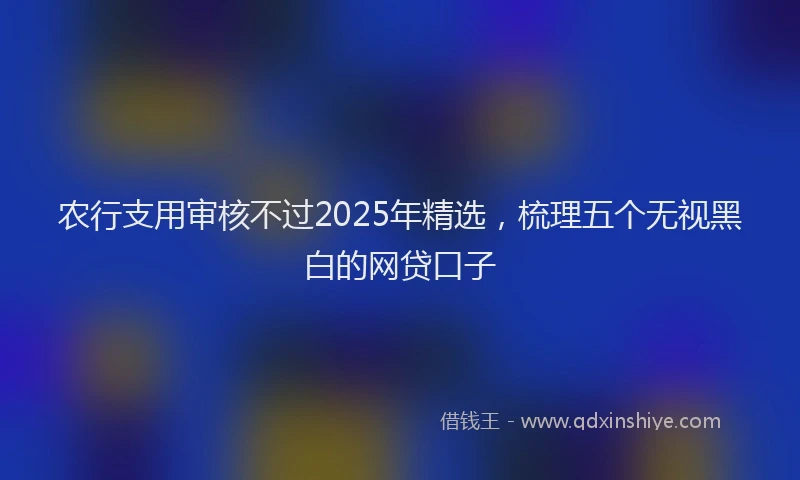 农行支用审核不过2025年精选，梳理五个无视黑白的网贷口子