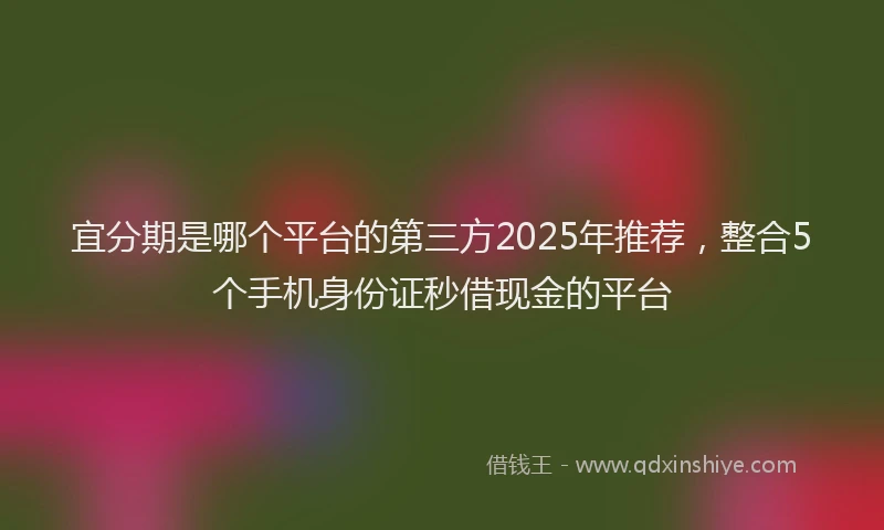 宜分期是哪个平台的第三方2025年推荐，整合5个手机身份证秒借现金的平台