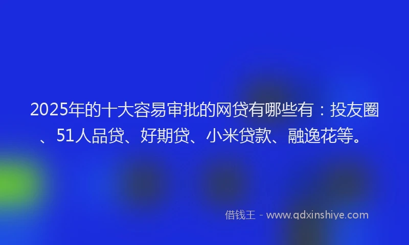 2025年的十大容易审批的网贷有哪些有：投友圈、51人品贷、好期贷、小米贷款、融逸花等。