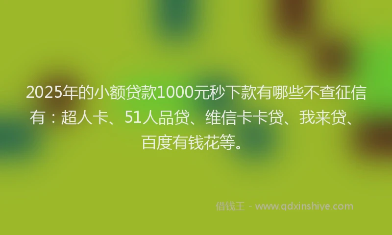2025年的小额贷款1000元秒下款有哪些不查征信有：超人卡、51人品贷、维信卡卡贷、我来贷、百度有钱花等。