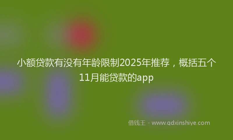 小额贷款有没有年龄限制2025年推荐，概括五个11月能贷款的app