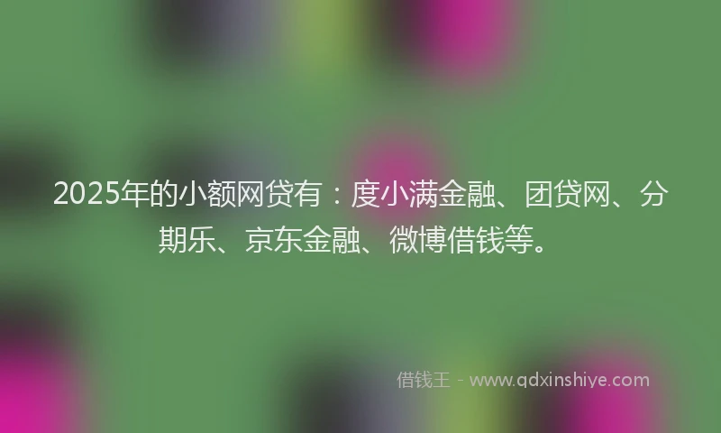 2025年的小额网贷有：度小满金融、团贷网、分期乐、京东金融、微博借钱等。