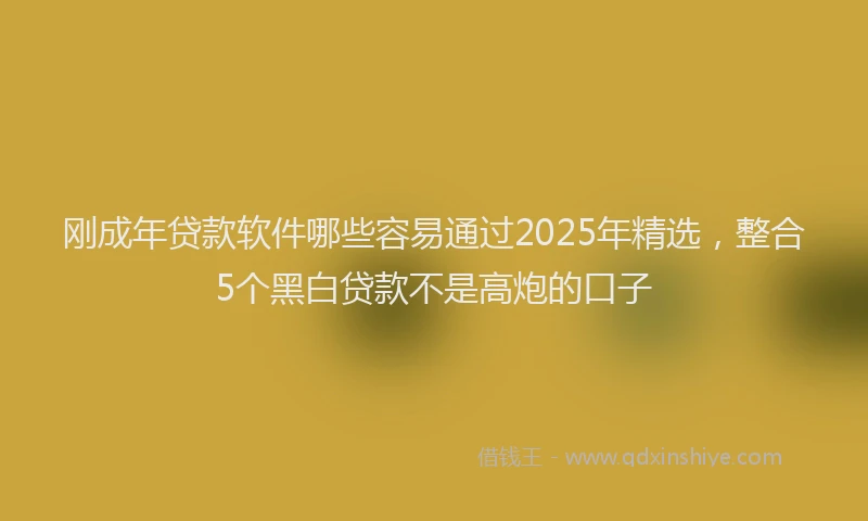 刚成年贷款软件哪些容易通过2025年精选，整合5个黑白贷款不是高炮的口子