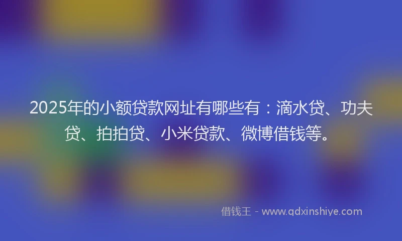 2025年的小额贷款网址有哪些有：滴水贷、功夫贷、拍拍贷、小米贷款、微博借钱等。