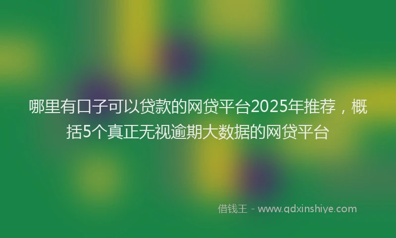 哪里有口子可以贷款的网贷平台2025年推荐，概括5个真正无视逾期大数据的网贷平台