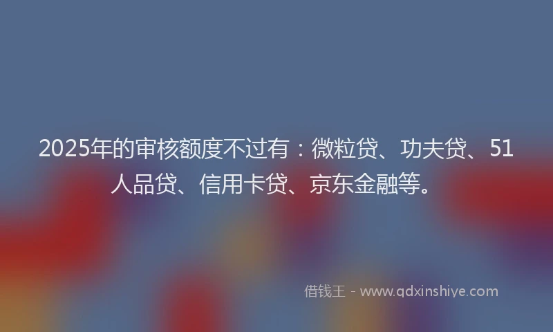 2025年的审核额度不过有：微粒贷、功夫贷、51人品贷、信用卡贷、京东金融等。