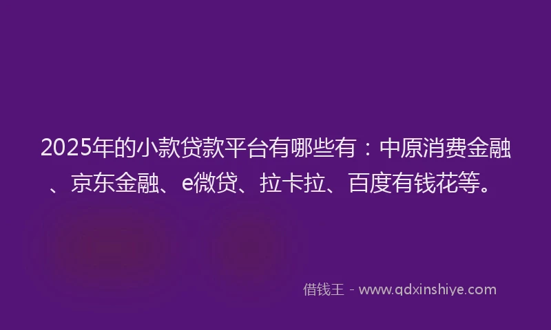 2025年的小款贷款平台有哪些有：中原消费金融、京东金融、e微贷、拉卡拉、百度有钱花等。