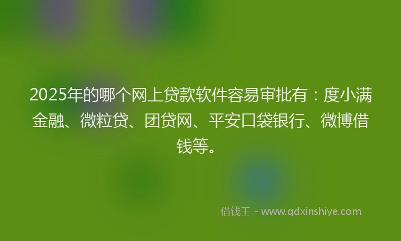 2025年的哪个网上贷款软件容易审批有：度小满金融、微粒贷、团贷网、平安口袋银行、微博借钱等。