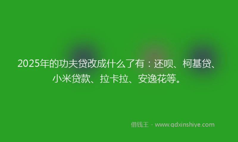 2025年的功夫贷改成什么了有：还呗、柯基贷、小米贷款、拉卡拉、安逸花等。