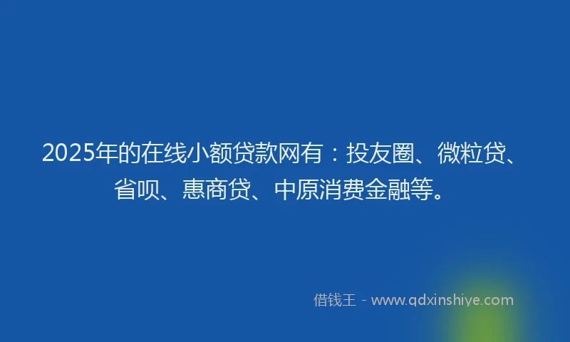 2025年的在线小额贷款网有：投友圈、微粒贷、省呗、惠商贷、中原消费金融等。