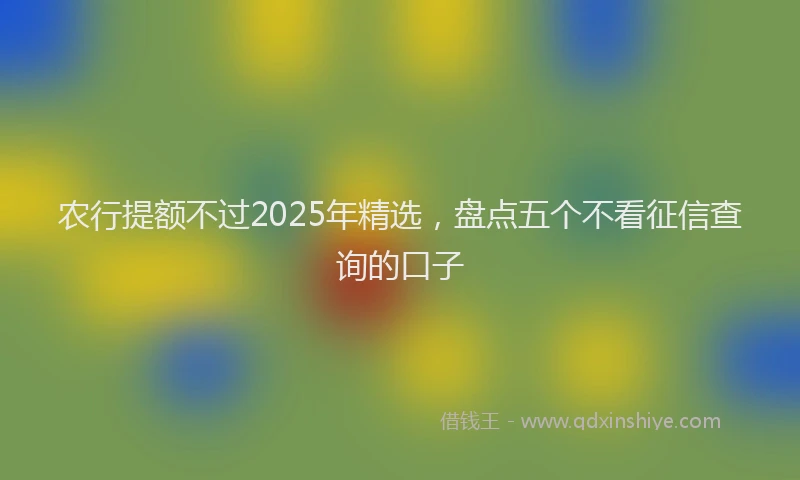 农行提额不过2025年精选，盘点五个不看征信查询的口子