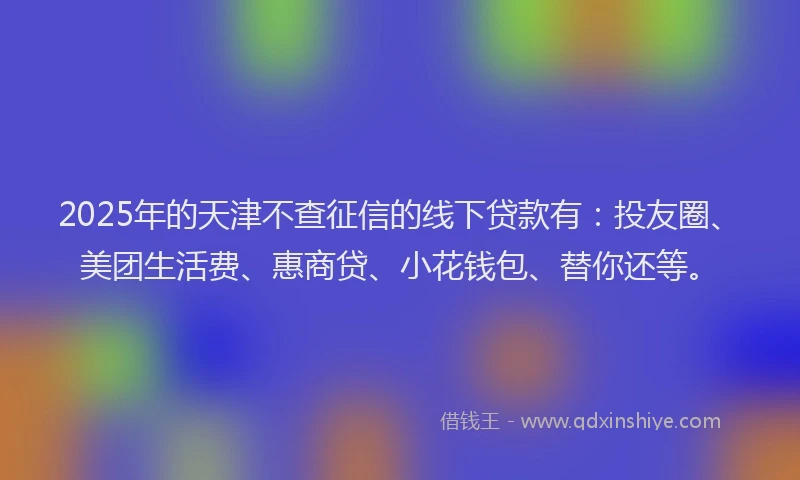 2025年的天津不查征信的线下贷款有：投友圈、美团生活费、惠商贷、小花钱包、替你还等。