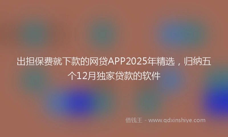 出担保费就下款的网贷APP2025年精选，归纳五个12月独家贷款的软件