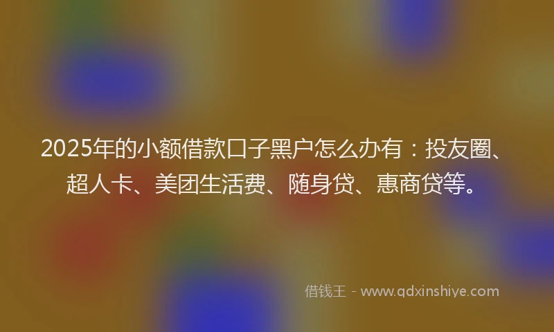 2025年的小额借款口子黑户怎么办有：投友圈、超人卡、美团生活费、随身贷、惠商贷等。