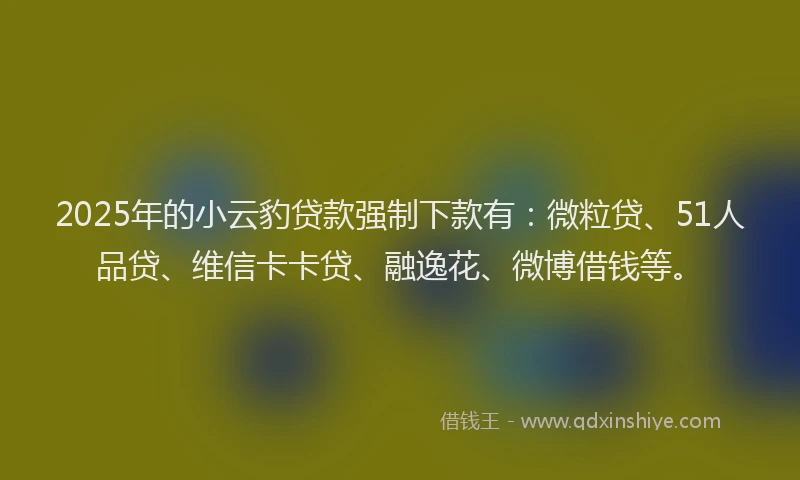 2025年的小云豹贷款强制下款有：微粒贷、51人品贷、维信卡卡贷、融逸花、微博借钱等。