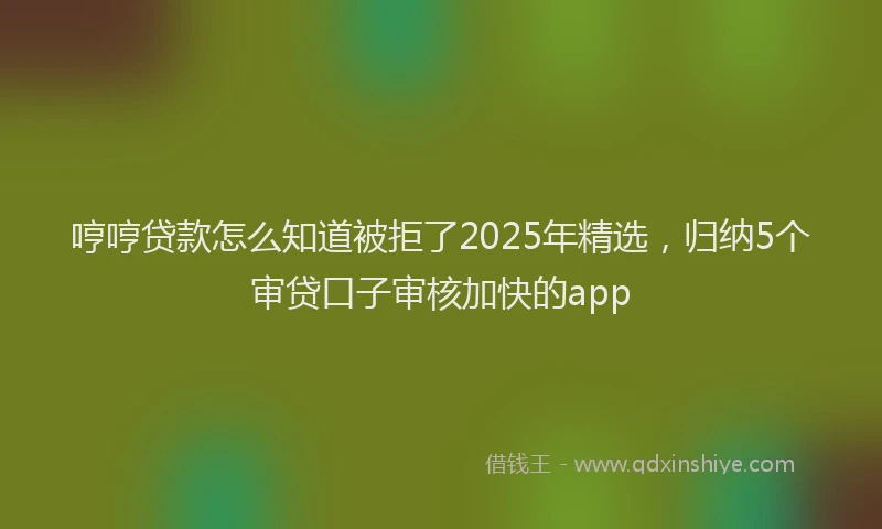 哼哼贷款怎么知道被拒了2025年精选，归纳5个审贷口子审核加快的app