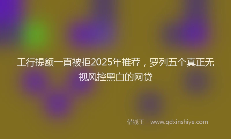 工行提额一直被拒2025年推荐，罗列五个真正无视风控黑白的网贷