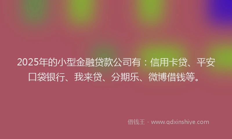 2025年的小型金融贷款公司有：信用卡贷、平安口袋银行、我来贷、分期乐、微博借钱等。