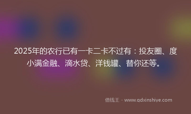 2025年的农行已有一卡二卡不过有：投友圈、度小满金融、滴水贷、洋钱罐、替你还等。