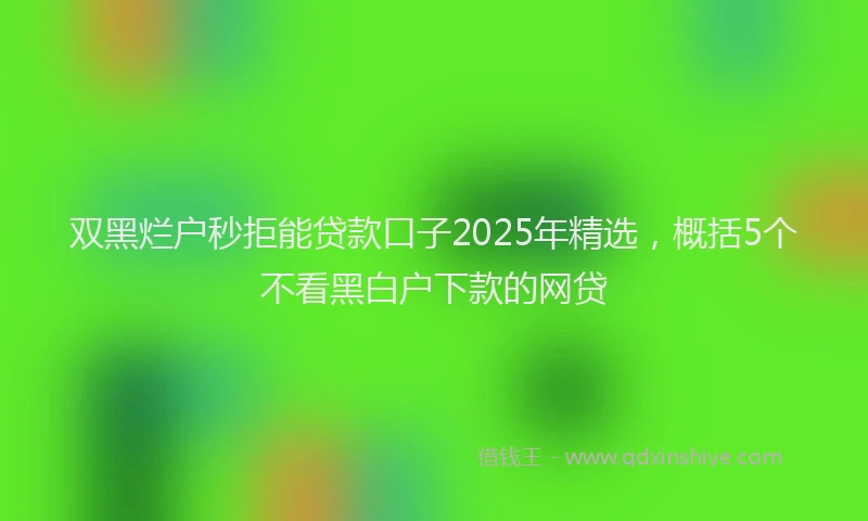 双黑烂户秒拒能贷款口子2025年精选，概括5个不看黑白户下款的网贷