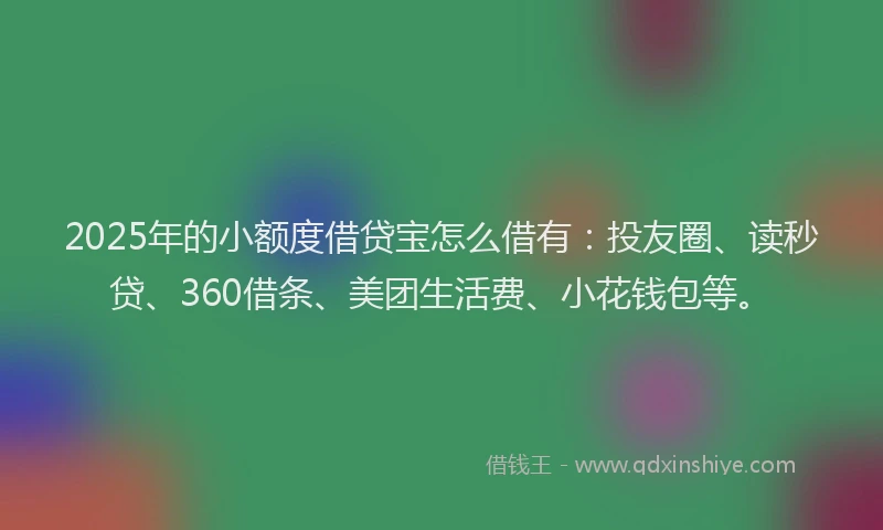 2025年的小额度借贷宝怎么借有：投友圈、读秒贷、360借条、美团生活费、小花钱包等。