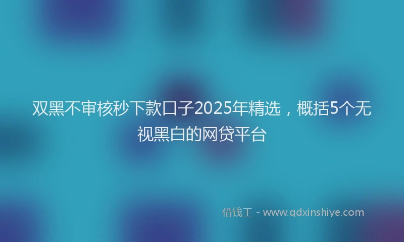 双黑不审核秒下款口子2025年精选，概括5个无视黑白的网贷平台