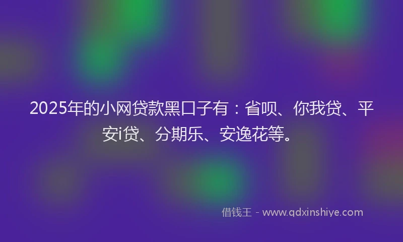 2025年的小网贷款黑口子有：省呗、你我贷、平安i贷、分期乐、安逸花等。
