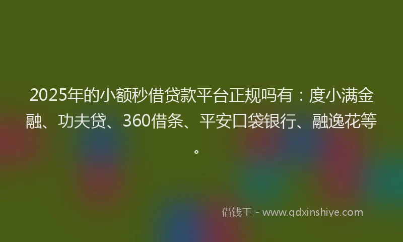2025年的小额秒借贷款平台正规吗有：度小满金融、功夫贷、360借条、平安口袋银行、融逸花等。
