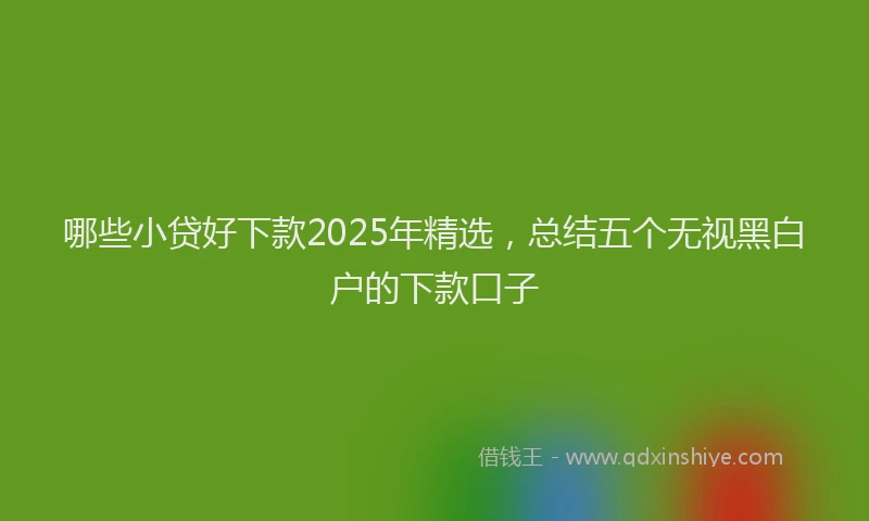 哪些小贷好下款2025年精选，总结五个无视黑白户的下款口子