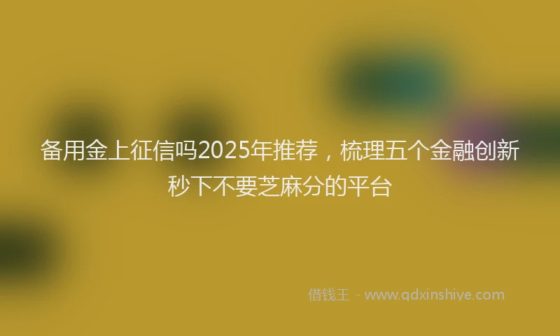 备用金上征信吗2025年推荐，梳理五个金融创新秒下不要芝麻分的平台
