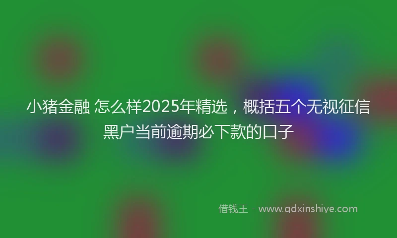 小猪金融 怎么样2025年精选，概括五个无视征信黑户当前逾期必下款的口子