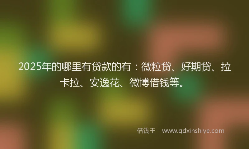2025年的哪里有贷款的有：微粒贷、好期贷、拉卡拉、安逸花、微博借钱等。