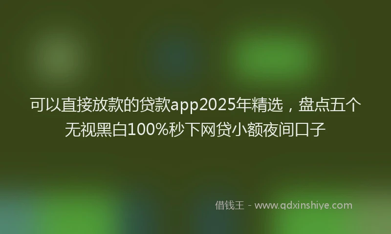 可以直接放款的贷款app2025年精选，盘点五个无视黑白100%秒下网贷小额夜间口子