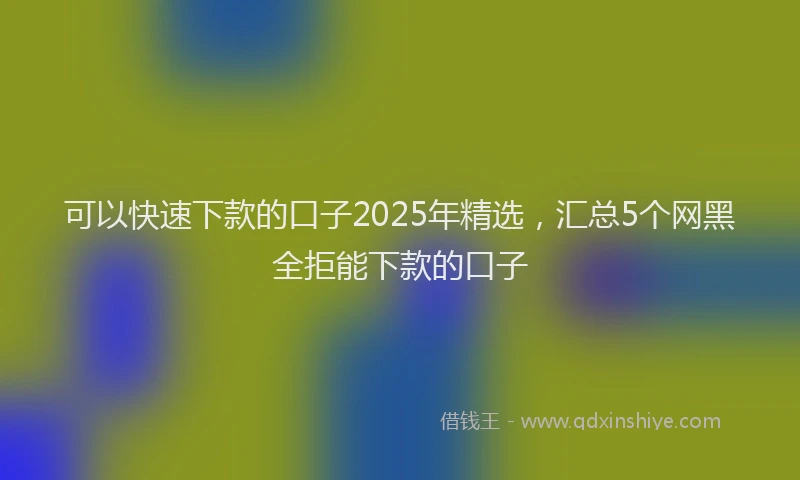 可以快速下款的口子2025年精选，汇总5个网黑全拒能下款的口子